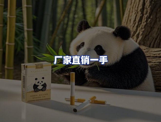 专业团队
